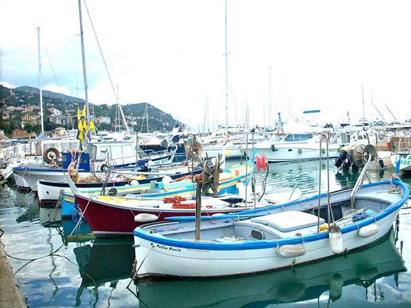 In the harbour of Rapallo