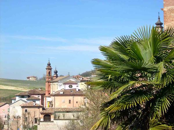A glimpse of the Costigliole panorama