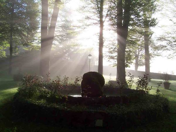 The charm of the morning at Palazzo Fieschi