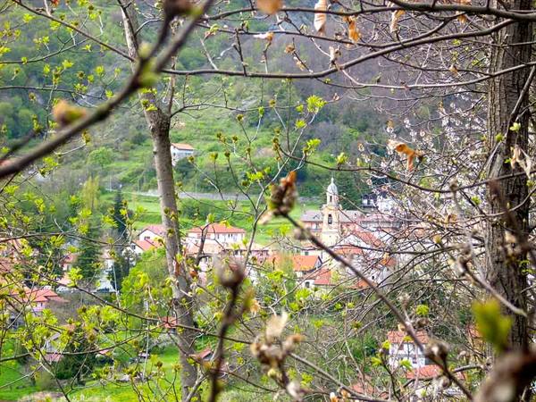 The village glimpsed among the vegetation