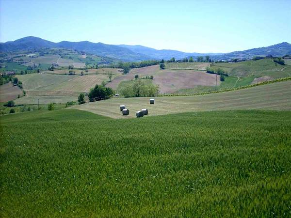 The landscape around Borgonovo Val Tidone