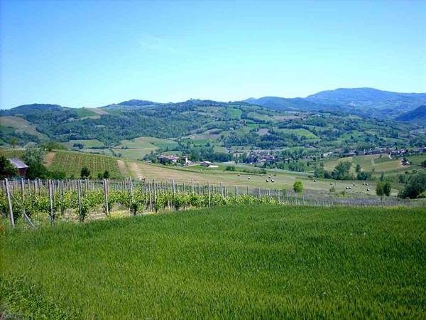 In the greenery of Borgonovo Val Tidone