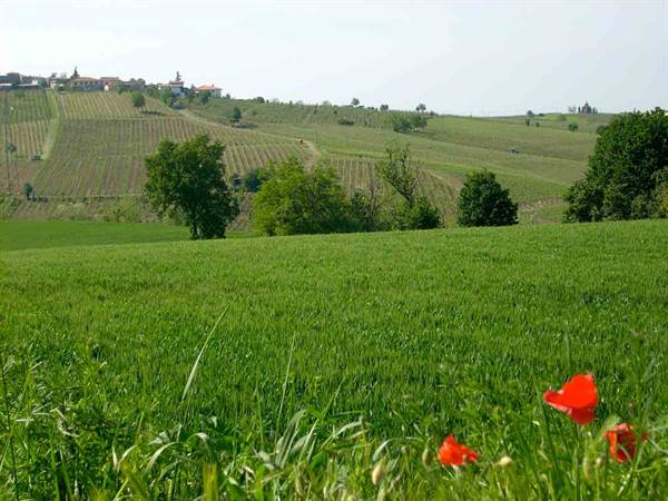 View of the surroundings of Corano