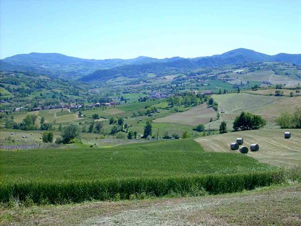 The gentle hills of Borgonovo Val Tidone