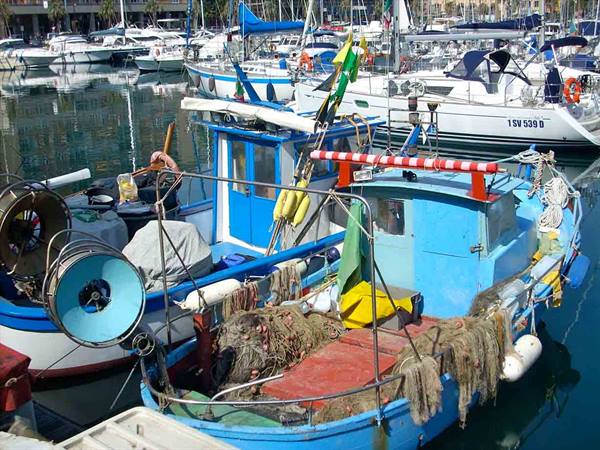 Fishing boats in the Darsena