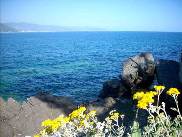 The sea at Santa Margherita Ligure