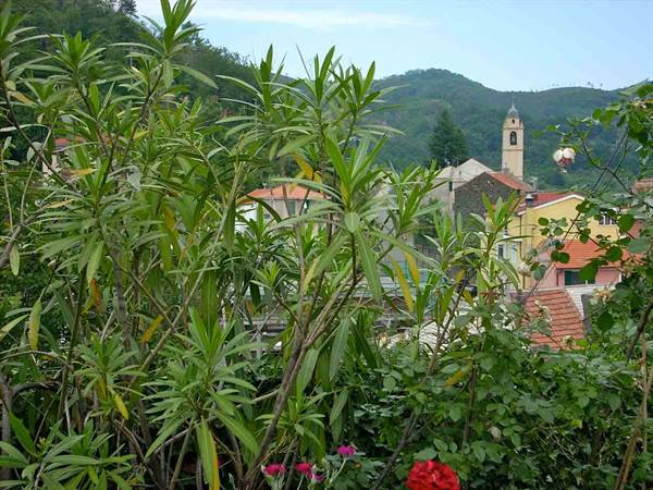 View of Stella