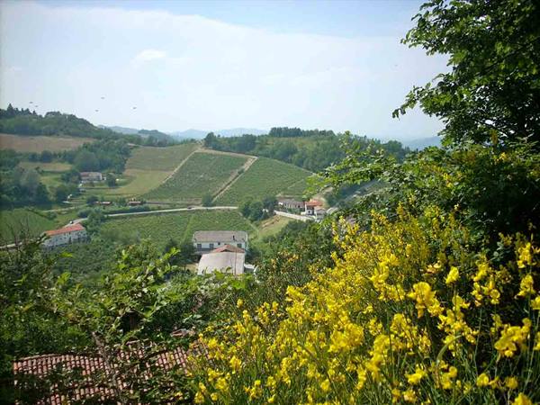 The hills around Cassinasco