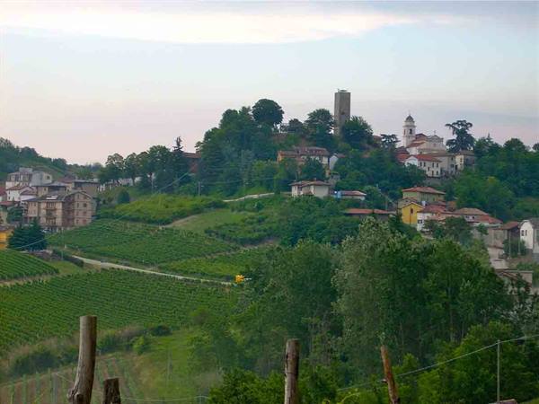 View of Cassinasco
