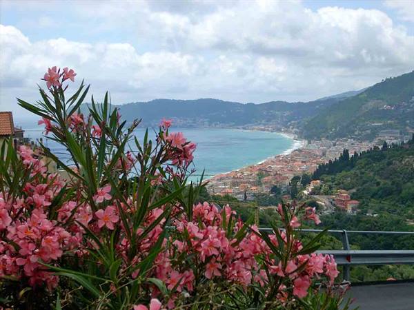 View of Alassio from the heights