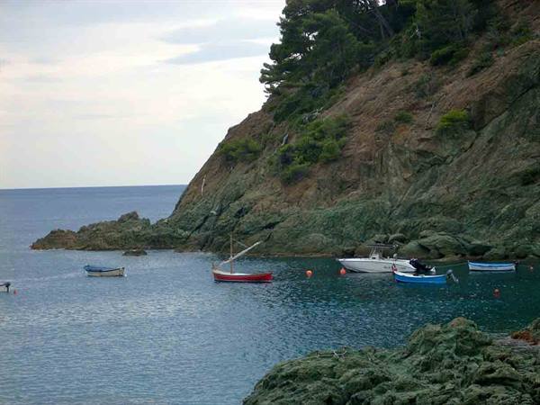 View over a bay