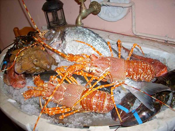 Lobsters, crabs & co.