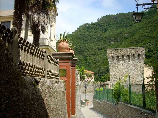 View with the ancient tower