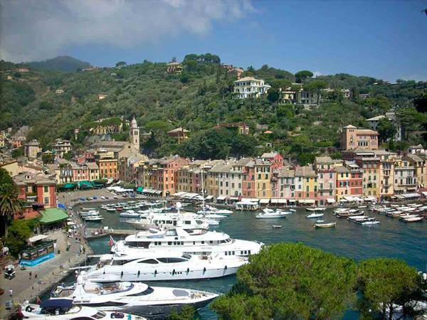 View of the Harbor 