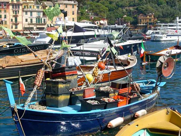 Fishing boats in Portofino