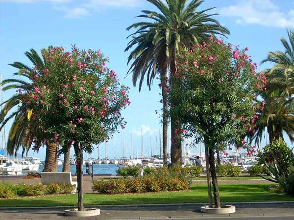 On the seafront