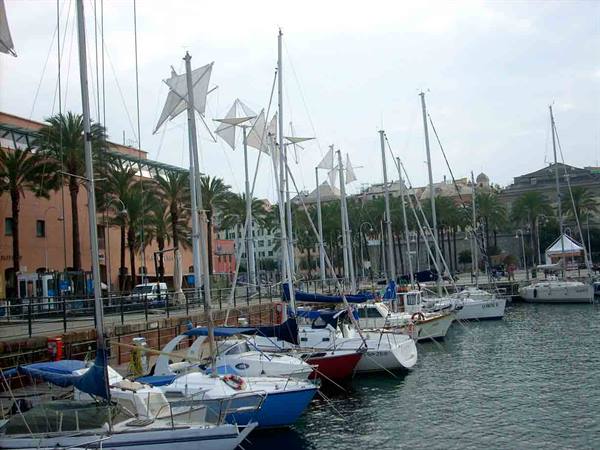 In the Old Port
