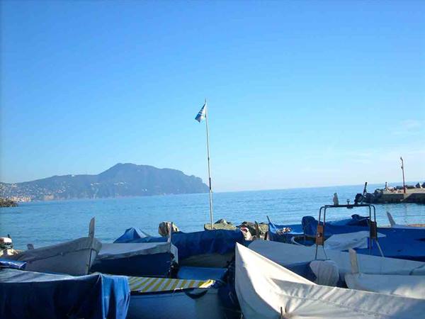 In the small harbor