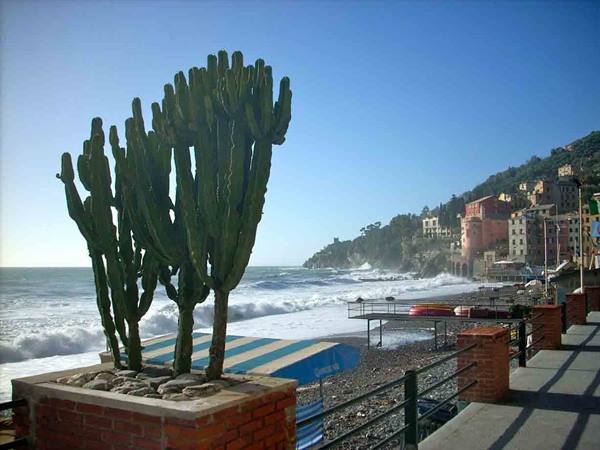 On the seafront