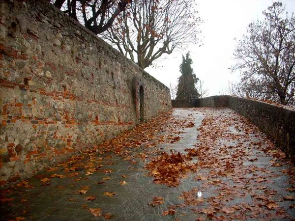 Toward the Tower
