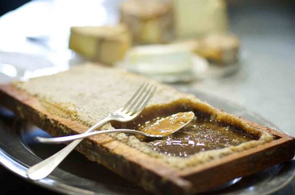 Delicacies of Ristorante Sabaudia: honey served in the honeycomb