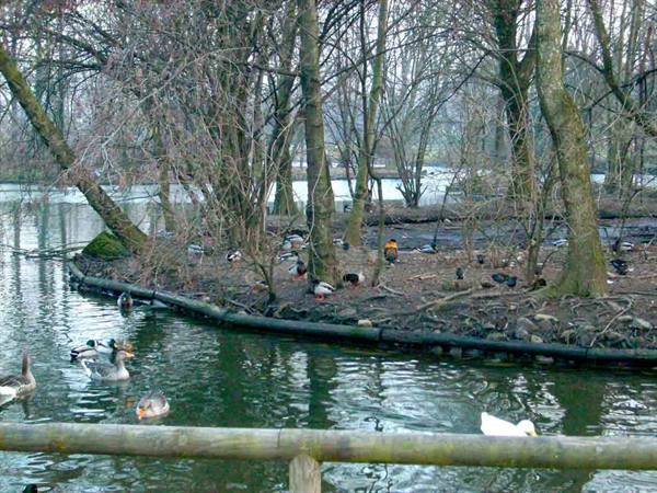 In the park of Legnano