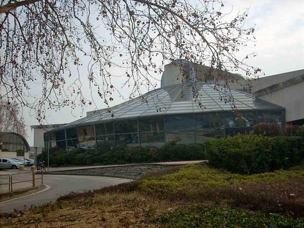 Cinema Arcadia