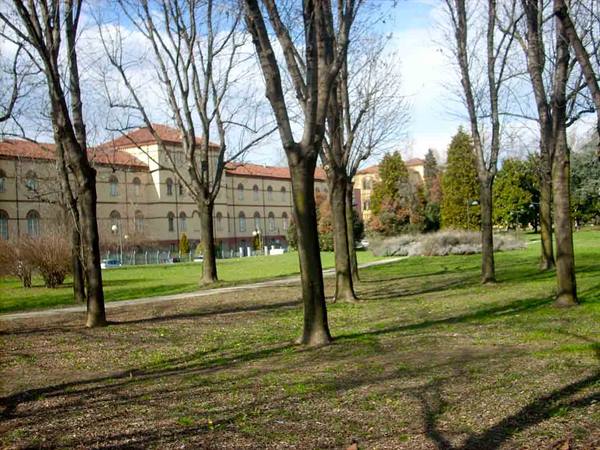 In the park of the charterhouse