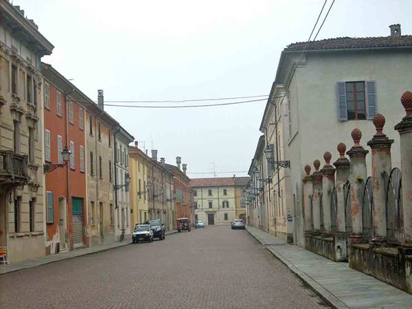 In the center of Zibello