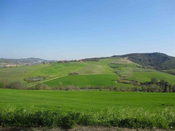 The gentle hills around Monteveglio