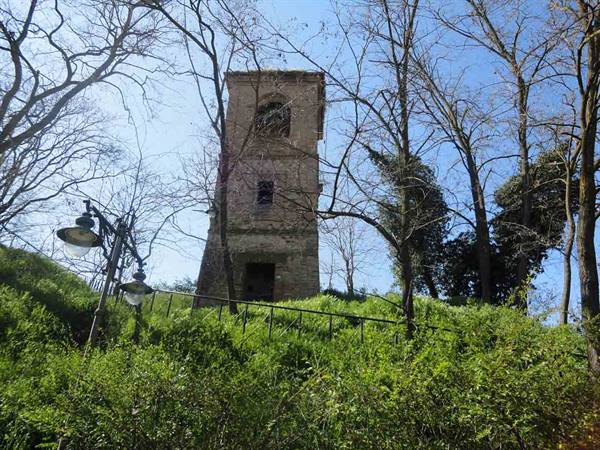 The tower