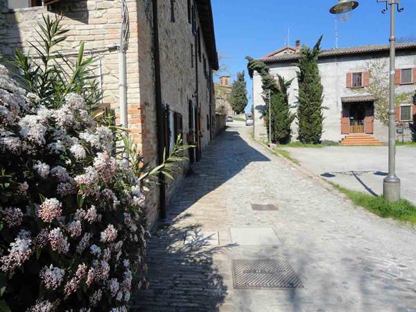 A glimpse of the village
