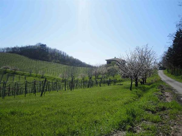 Around Monteveglio