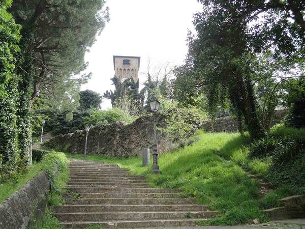 View with the tower