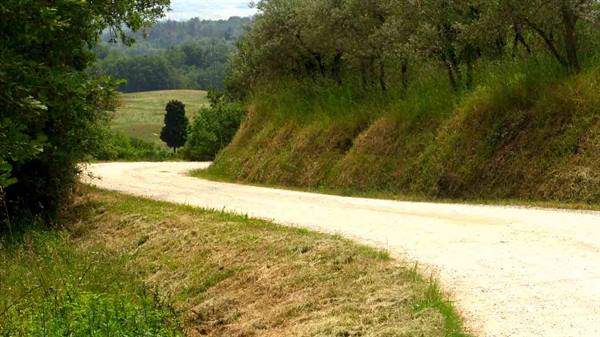 In the countryside of Figline