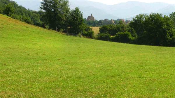 Green meadow with trees and wooden fence, a church in the distance