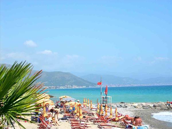 Beach with yellow umbrellas and red sunbeds, palm, turquoise sea and mountains