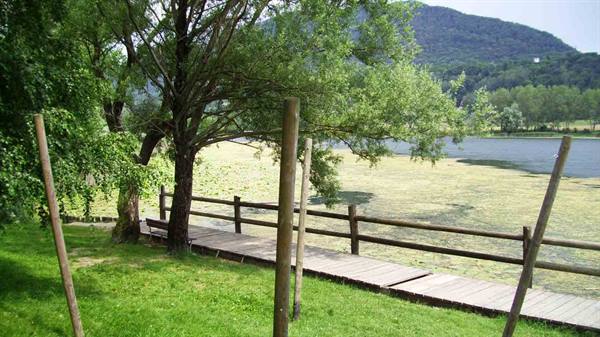 Wooden boardwalk by algae-covered lake, bench beneath leafy trees