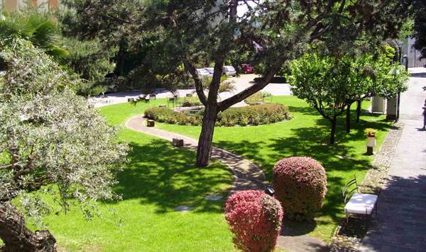 Garden with pine, olive tree and red flowering bushes along the path