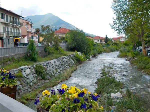 River between stone embankments, yellow and blue pansies, houses and green mountain