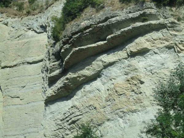 Layered rock cliff in daylight, with green shrubs at the base and top