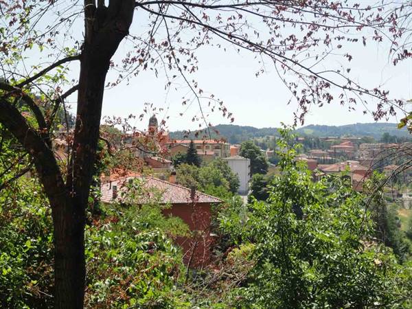Red rooftops and bell tower among trees, hillside village in summer light
