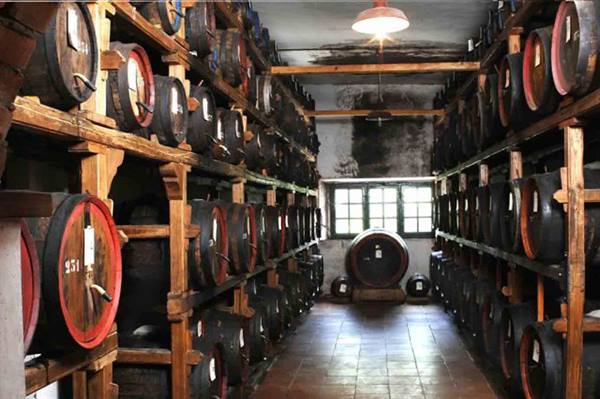 Wine cellar with wooden barrels on beam racks, lamplight and window