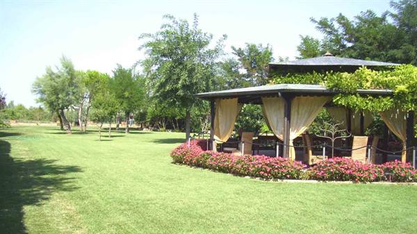 Canopied gazebo with curtains and pink flowers in a sunny green garden