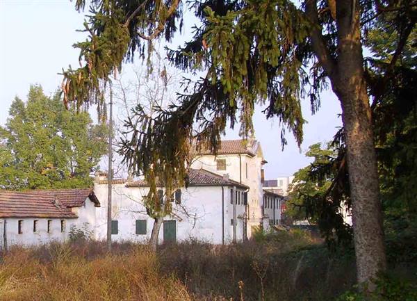 White farmhouse with tiled roof among firs and dry grass