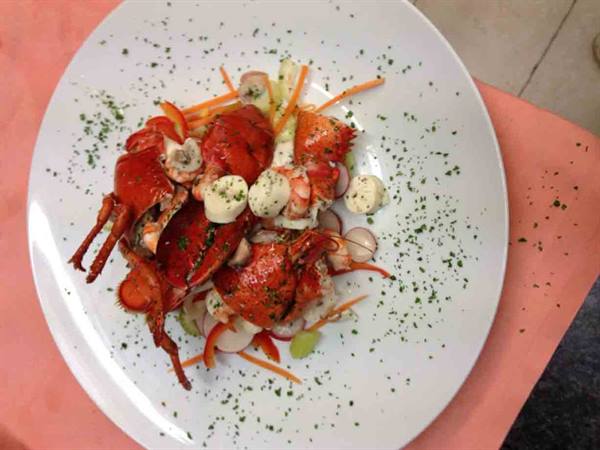 White plate with lobster, mozzarella, radishes and carrots on pink tablecloth