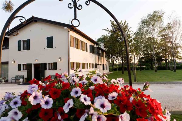 Red and white petunias in foreground before a white house with green shutters