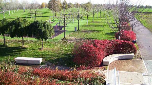Urban park with red shrubs, stone benches and tree-lined path in autumn