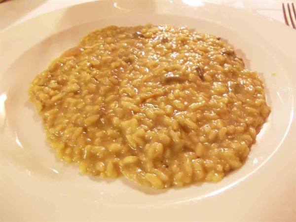 Creamy mushroom risotto served on a white plate in warm light