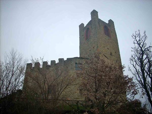 Medieval stone castle with crenellated tower among bare trees, grey sky
